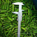 IQF Frozen Green Asparagus Spears, Center Cuts